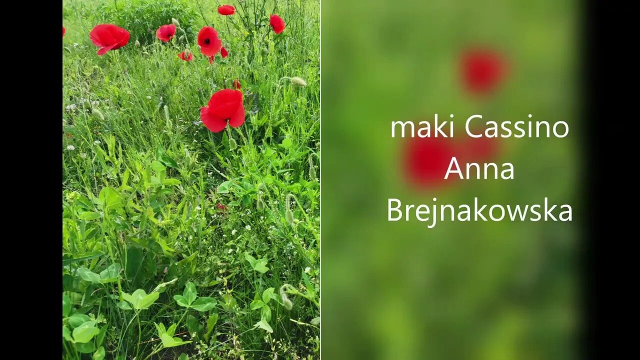 maki Cassino - Anna Brejnakowska