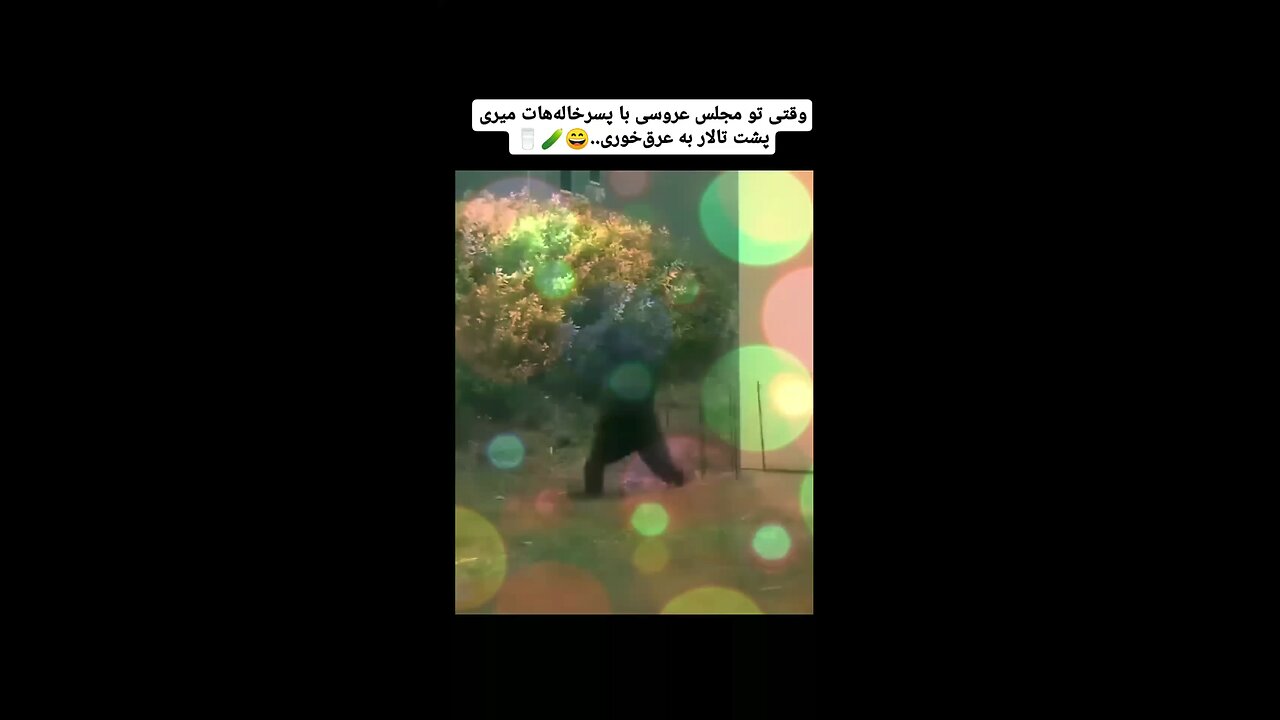 😂😂