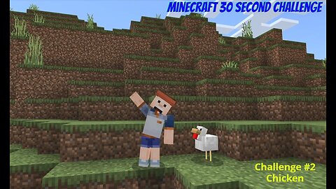 Minecraft 30 Second Challenge - Challenge 2 - Chicken