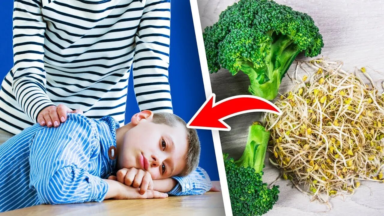 Why Does Sulforaphane Cure Autism Symptoms_