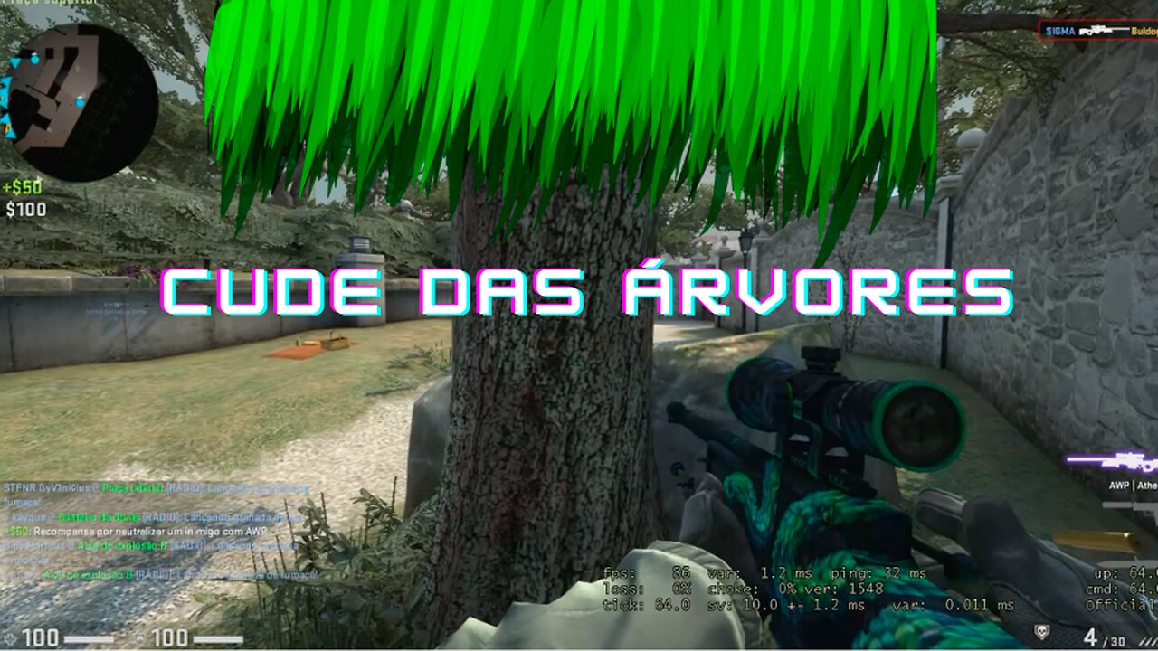 CSGO - CUIDE DAS ÁRVORES QUE ELAS CUIDARÃO DE VOCÊ