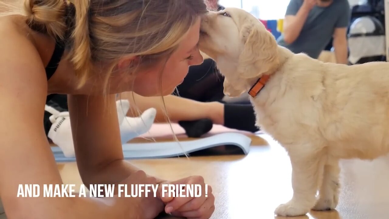 Cute puppy going to beautiful ladies yoga exercise room