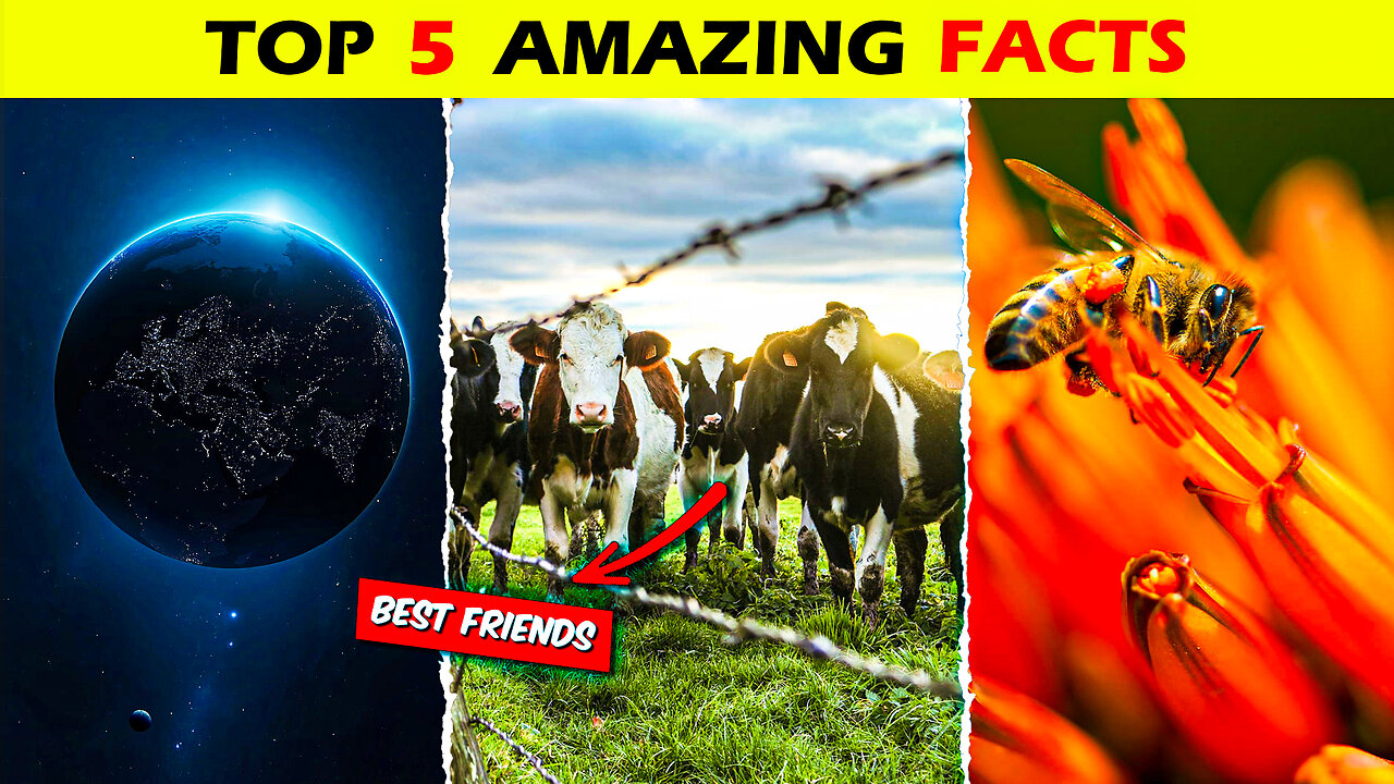 5 Mind-Blowing Facts In Under 1 Minutes !