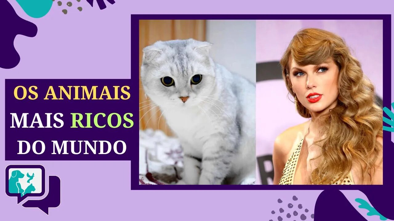 Os 3 Animais de Estimação Mais Ricos do Mundo! 🐾💰