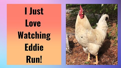 Keeping Up With Eddie!