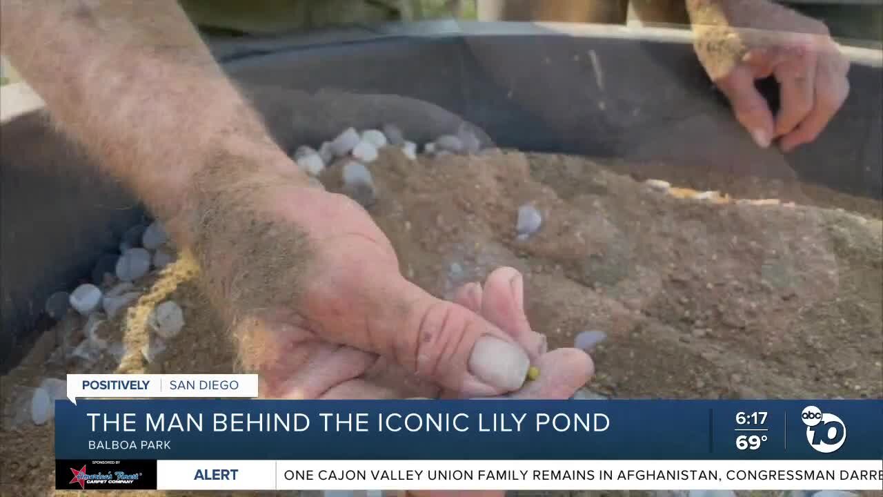 The man behind Balboa Park's iconic lily pond