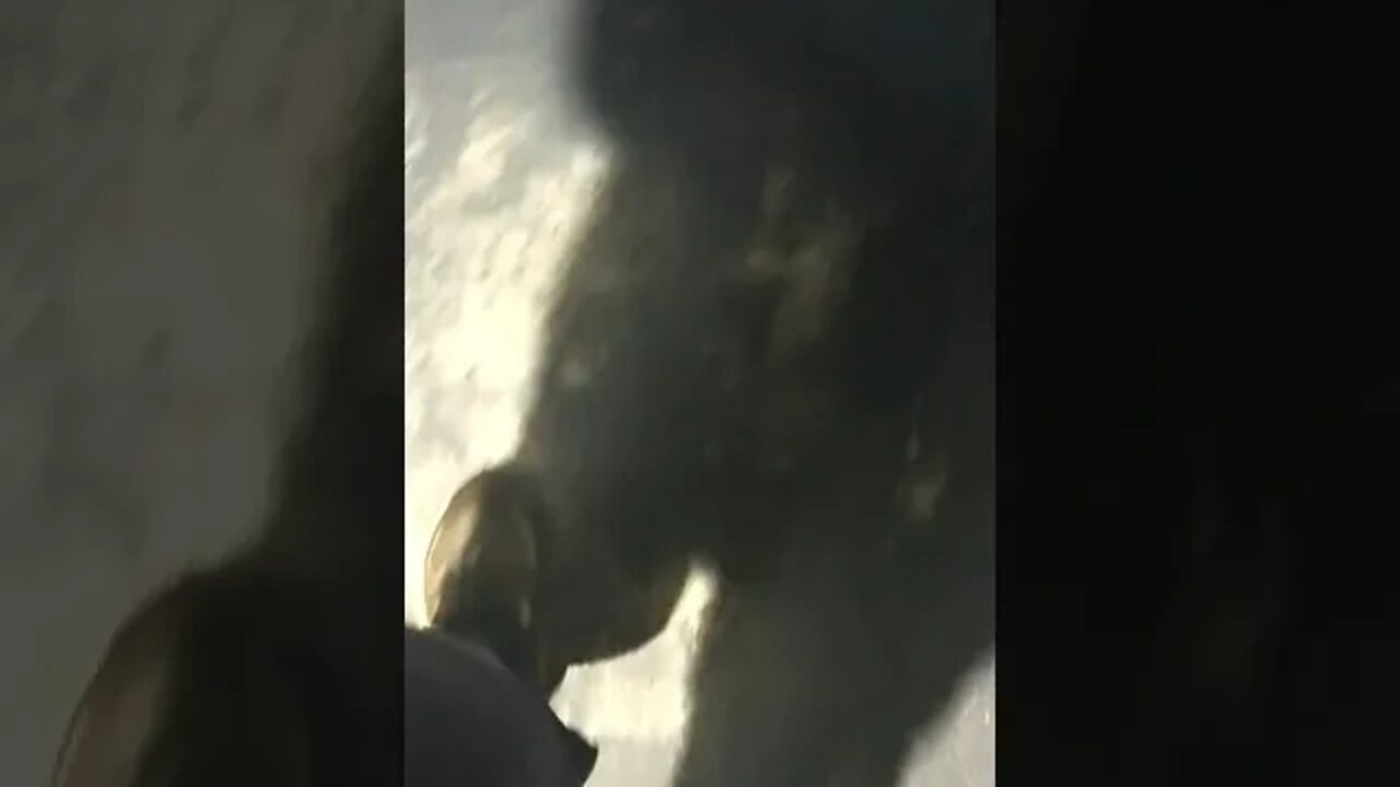 Noise Harassment 12/14/2021