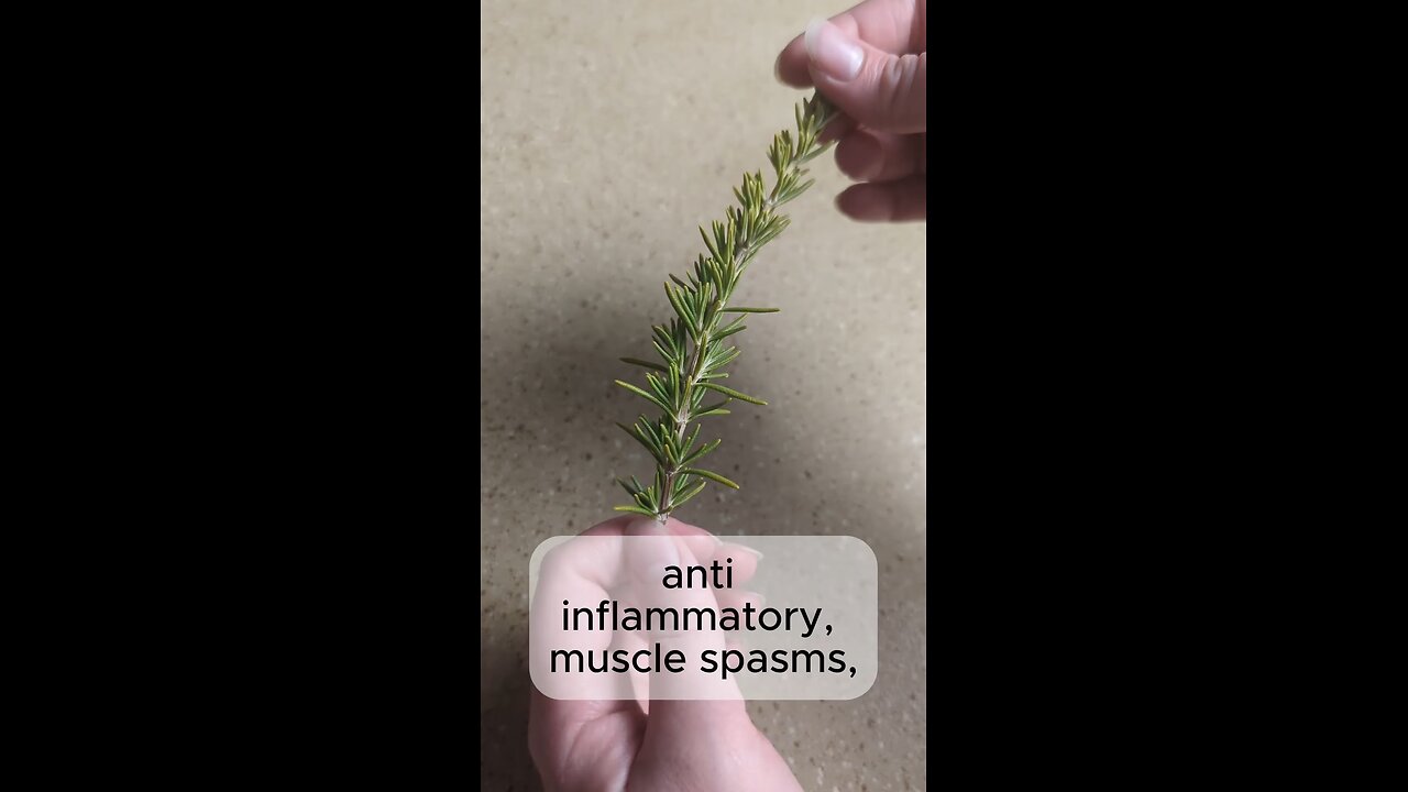 Everything about Medicinal Rosemary