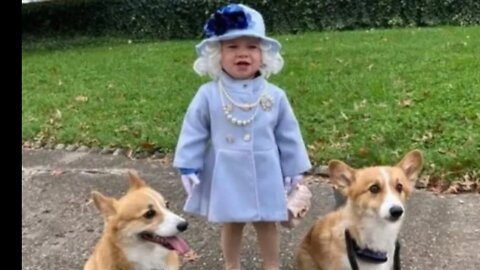 The Mini Queen