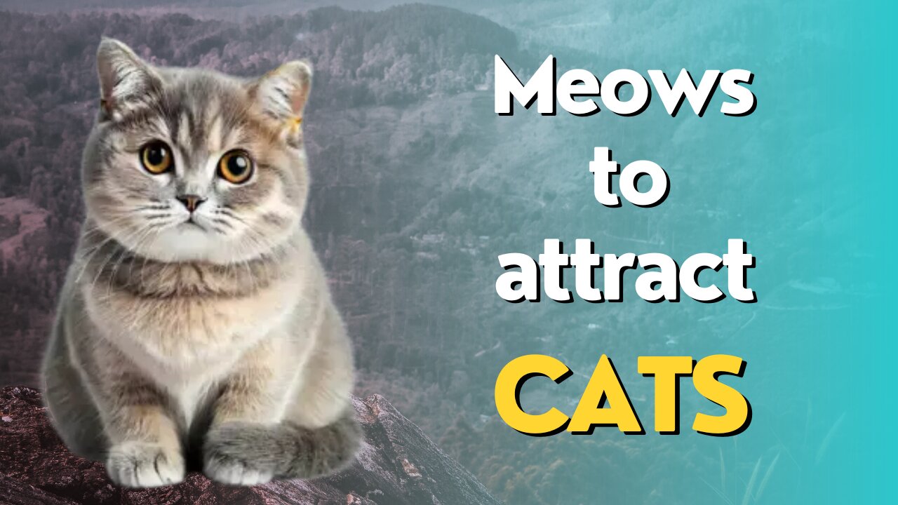 Sounds that attract cats