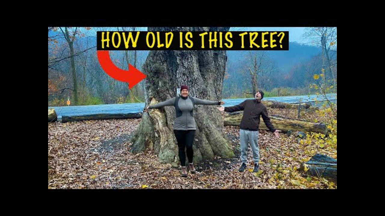 Dover Tree and Nuclear Lake | Hiking Vlog | Come explore with us!