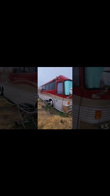 Tour Bus Walk Through (Wombat) #tourbus #tinyhome #skoolie #bus #loveyourjourney