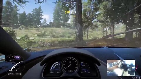 FORZA HORIZON 5 COM VOLANTE