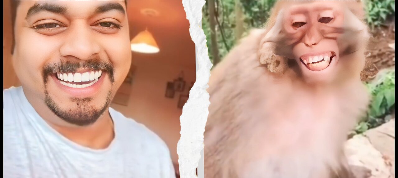 Troll Prank Dog Funny & fake Lion and Fake Tiger Prank To dog & Huge Box Prank to dog