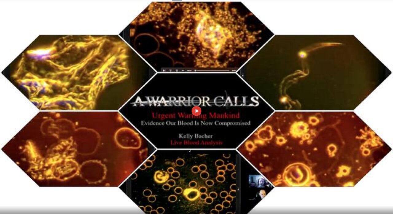 A WARRIOR CALLS: URGENT WARNING MANKIND - EVIDENCE OUR BLOOD IS NOW COMPROMISED