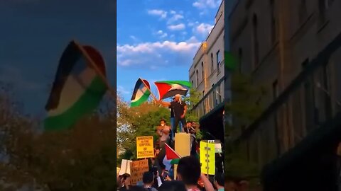 🇵🇸