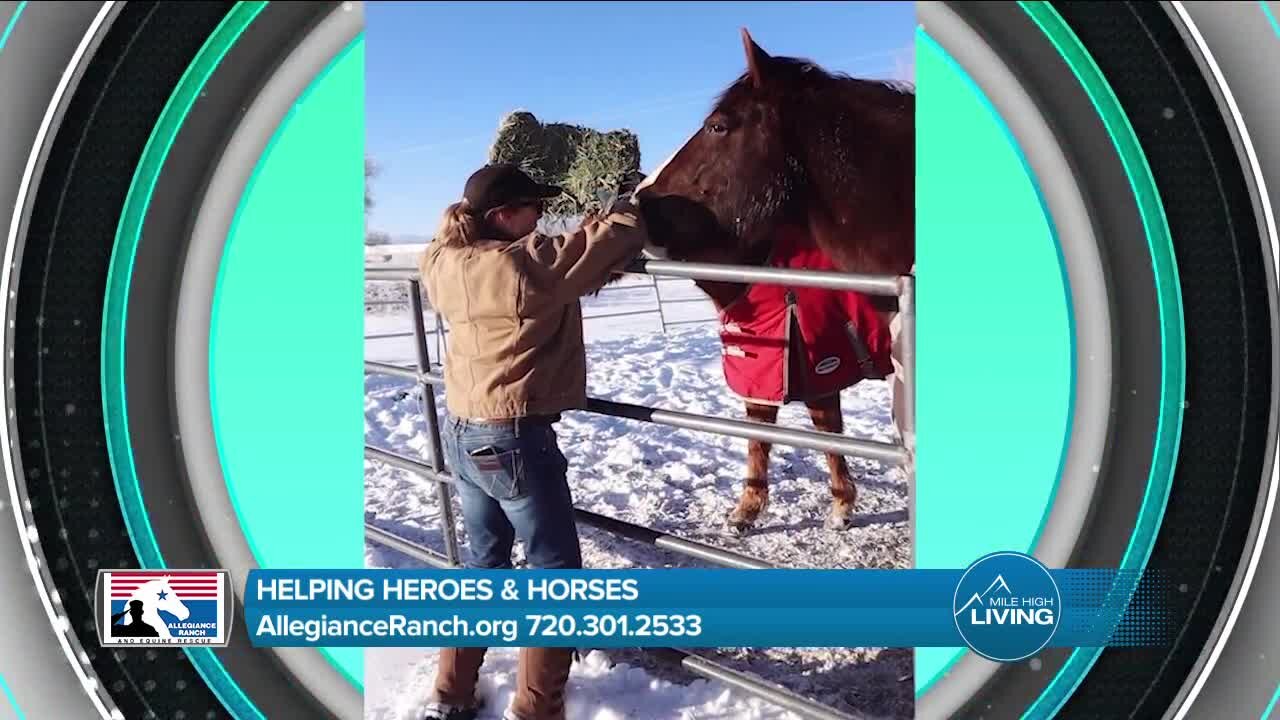 Helping Heroes & Horses // Allegiance Ranch