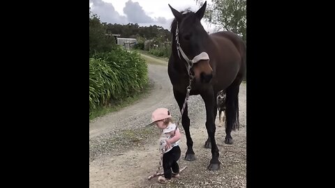 Little Girl Leads Horse!