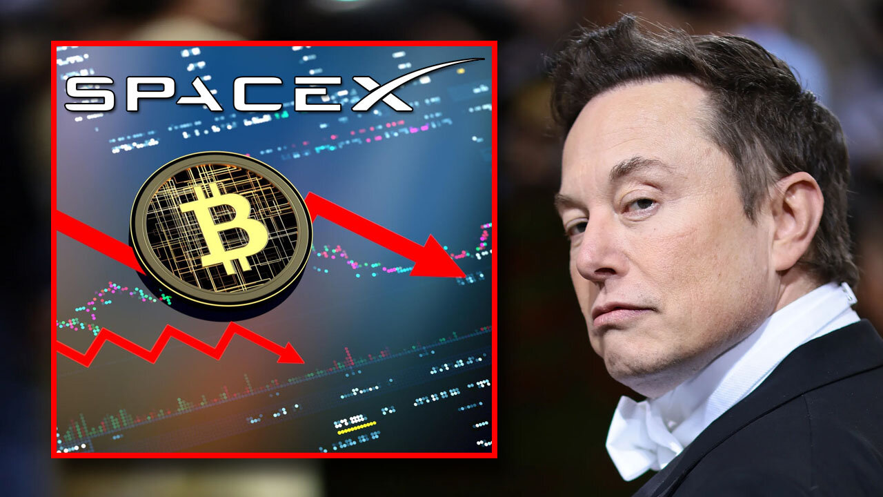 Bitcoin fell from $29,300 to $26,000 due to Elon Musk? Should we panic? What's going on? 📉🪙🤔