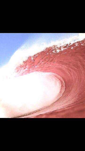 Master Phil in Your Corner EP#78: COVID Updates