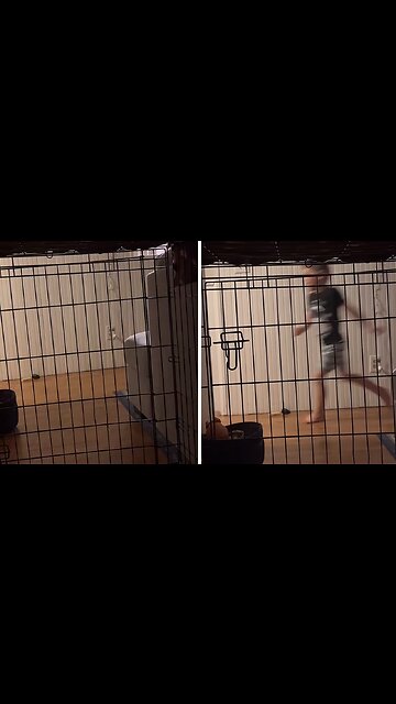 Destroying my kids at hide-and-seek until they cry