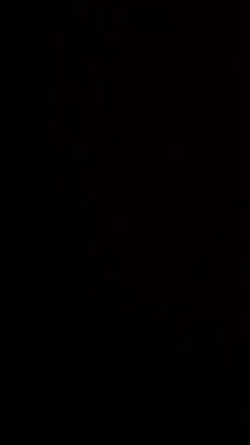 Stand strong, Donald Trump!