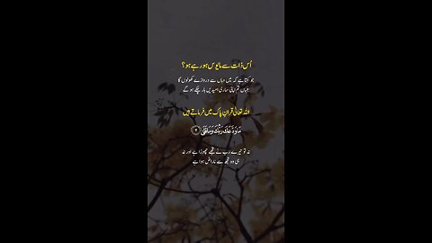 Islam| Pakistan| video | Dua