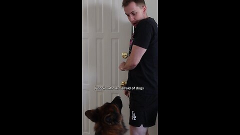 People who are afraid of dogs #shorts #dog #funny