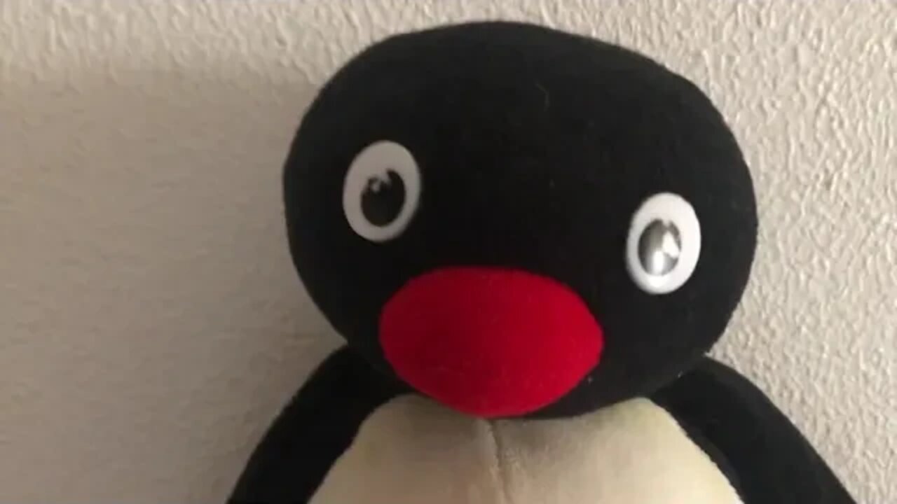 The Real Noot noot