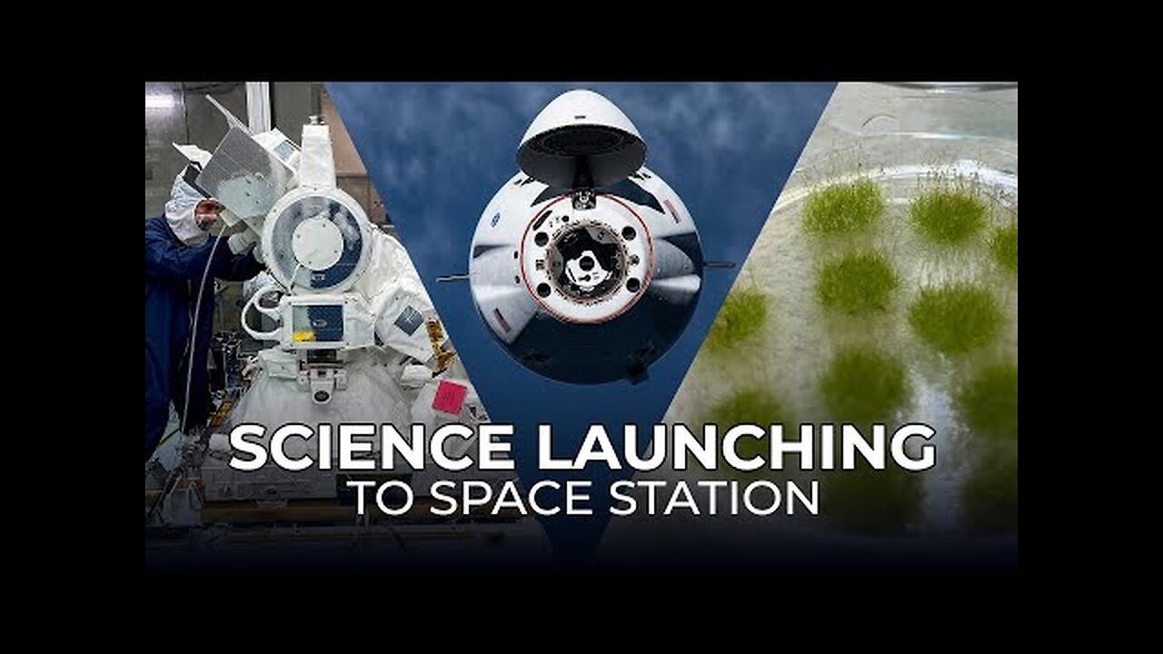 Science Launching on SpaceX s 31st Cargo Resupply Mission to the Space Station