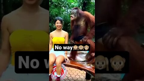 Monkey gets married to girl😂😂 #shorts