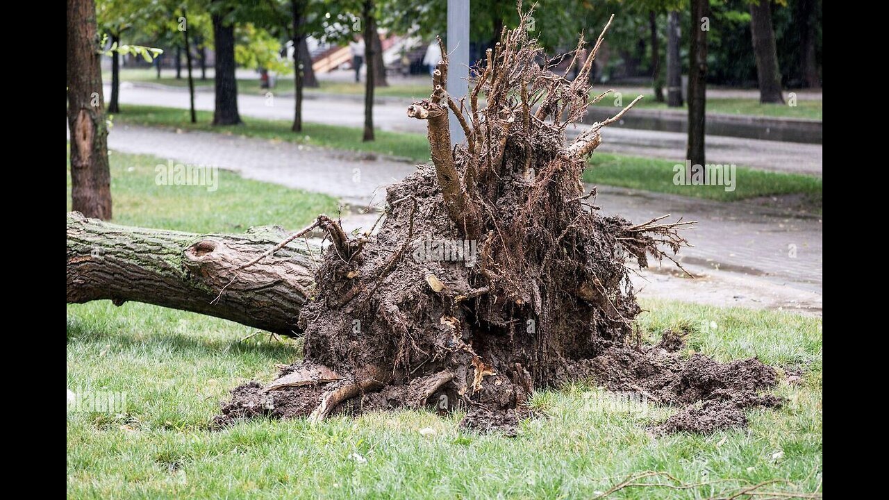 UN VENTO TAGLIENTE CI HA TAGLIATO 10 GOMME E NON SOLO.