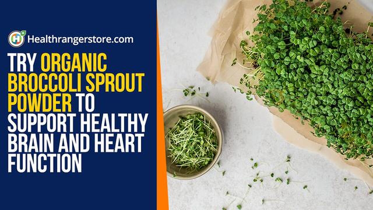 Try organic broccoli sprout powder to support healthy brain and heart function