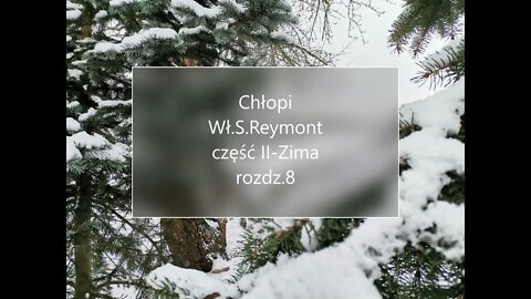 Chłopi -Wł.S.Reymont część II - Zima rozdz.8