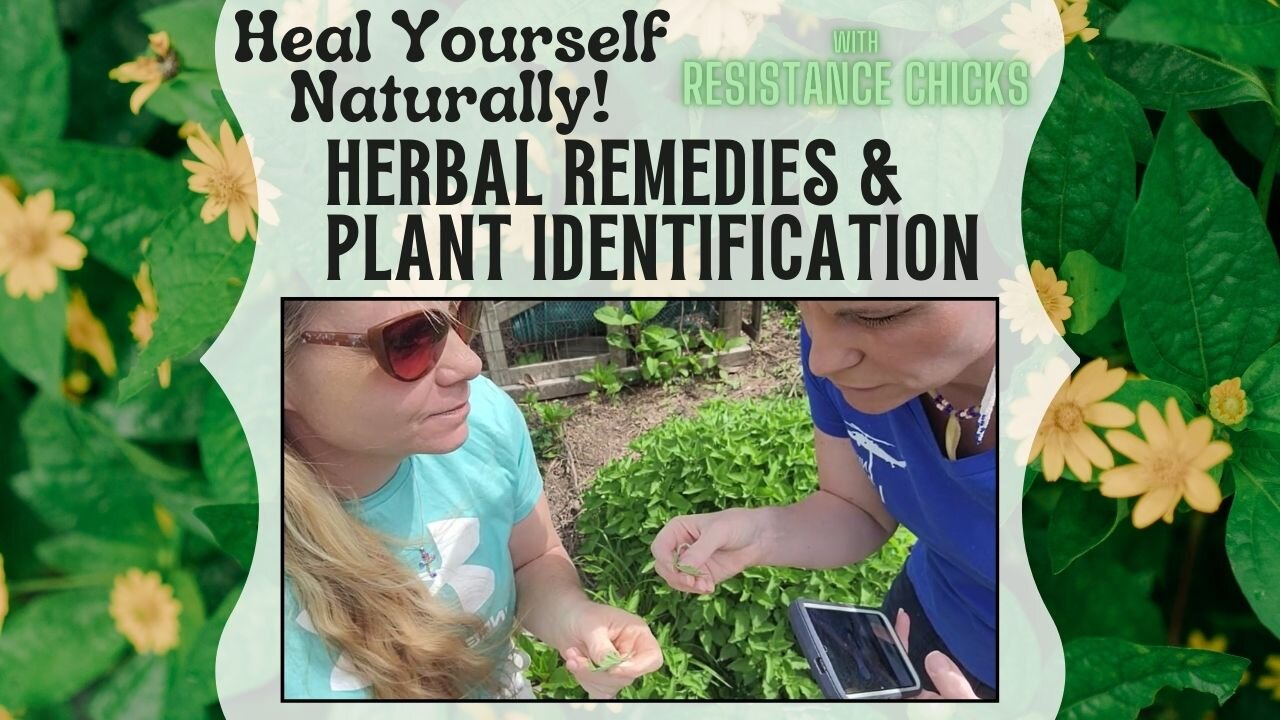 Heal Yourself Naturally! Herbal Remedies & Plant Identification