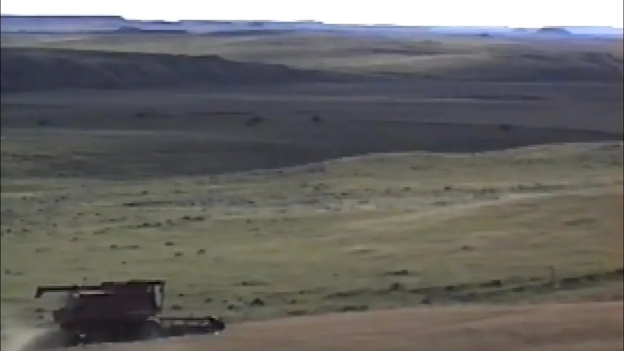 Z Crew 82 - The Early Years / Wheat Harvest 1993 (Part 4)