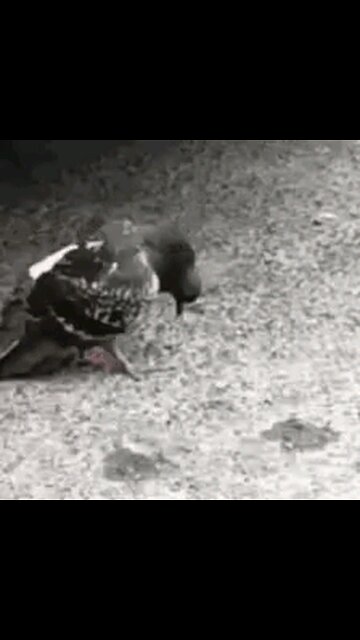 DISABLED VETERANS BEING KICKED INTO THE STREETS,