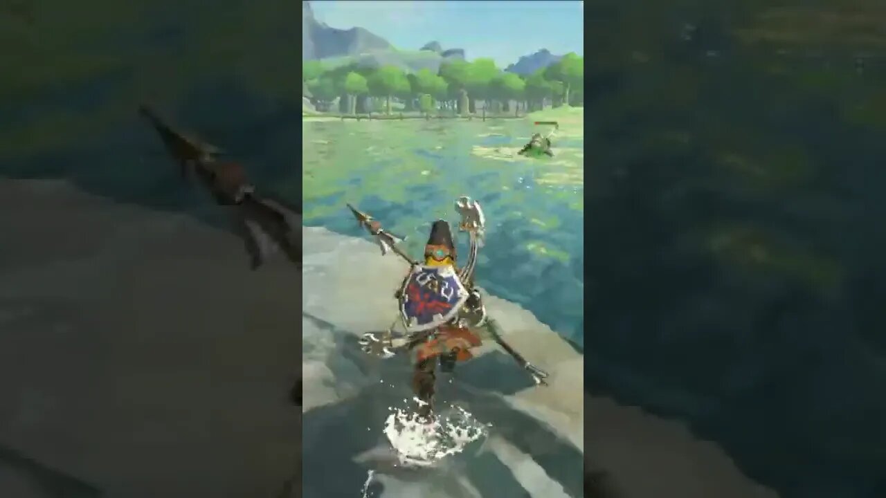 Spear Combat In Legend of Zelda Breath of The Wild #shorts