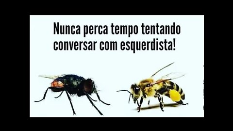 Conversar com esquerdista? não perca seu tempo!