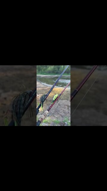 Mega Drought Killed ALL the Fish