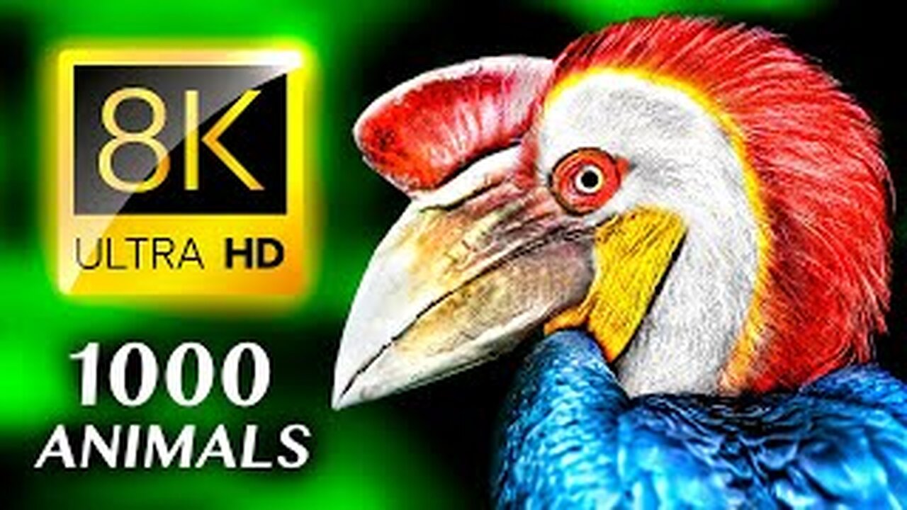 1000 BEAUTIFUL ANIMALS 8K ULTRA#2