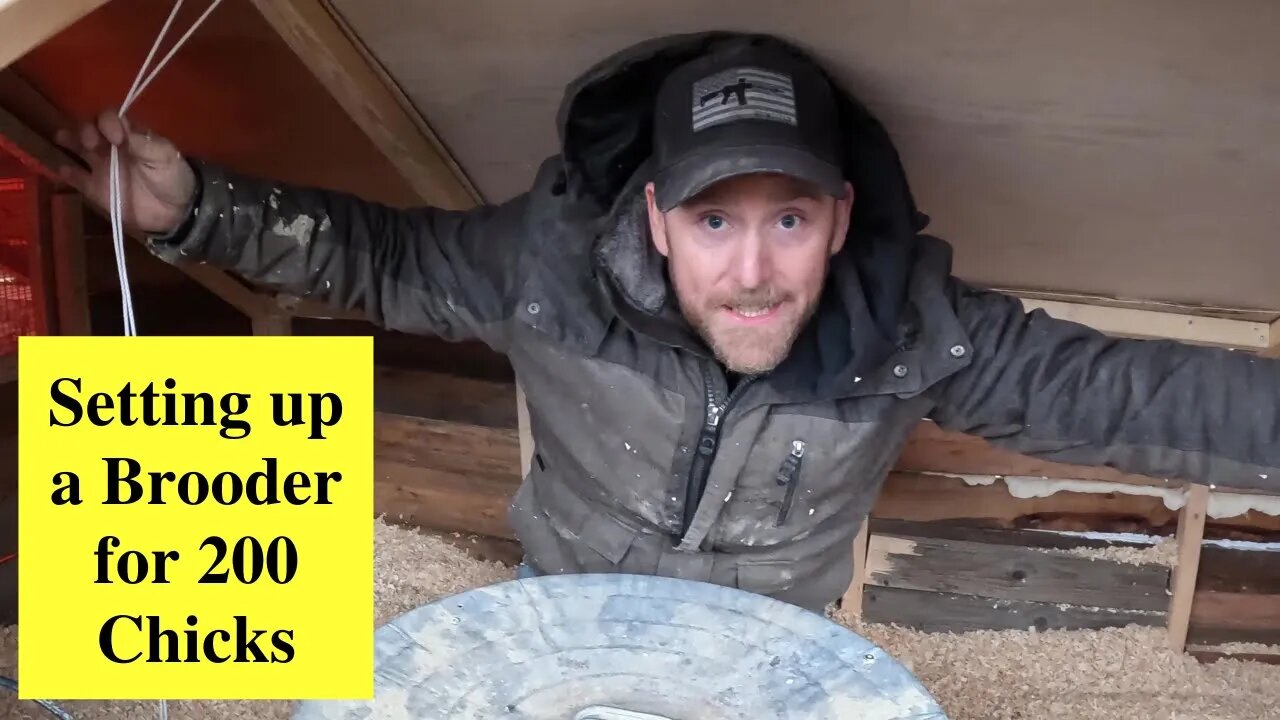 Setting up a brooder for 200 Chicks.