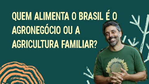 Quem alimenta o Brasil é o agronegócio ou a agricultura familiar?