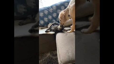 The story of an amazing friendship