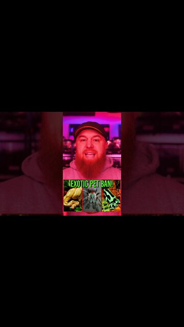 EXOTIC PET BAN Passes House - Moves to Senate! #shorts