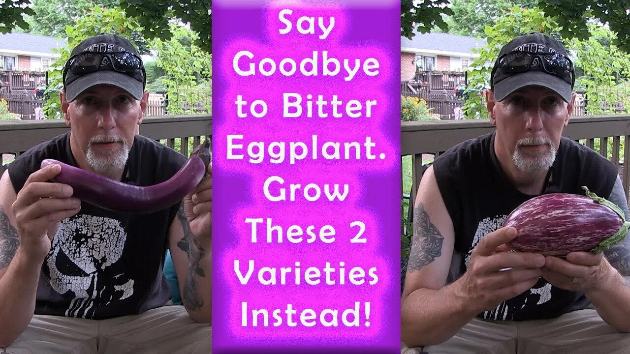 Say Goodbye to Bitter Eggplant. Grow These 2 Varieties Instead!