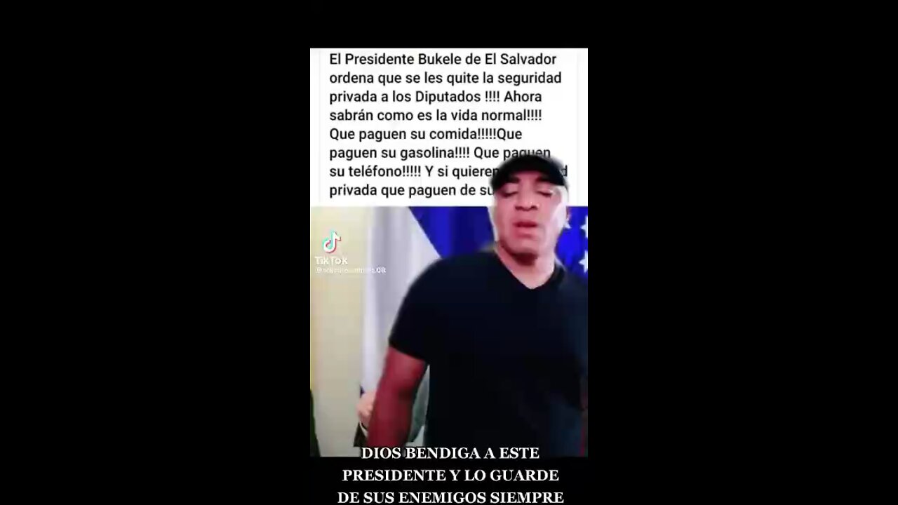 Nayid Bukele-- homenaje , el mejor presidente del mundo