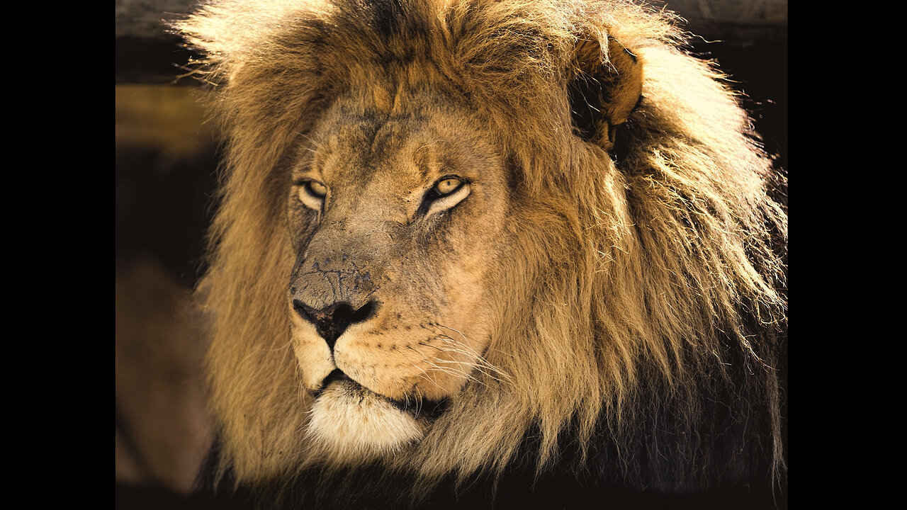 Setting the stage for Revelation 18