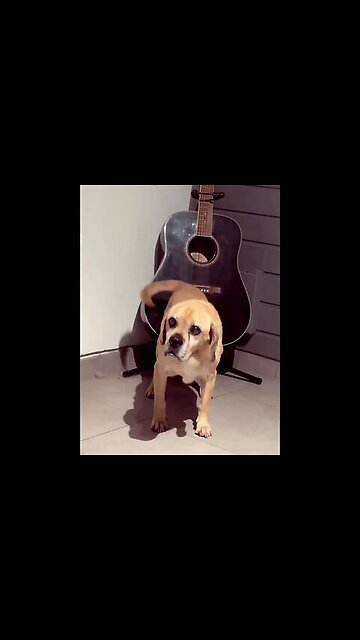 Talent on display!!!