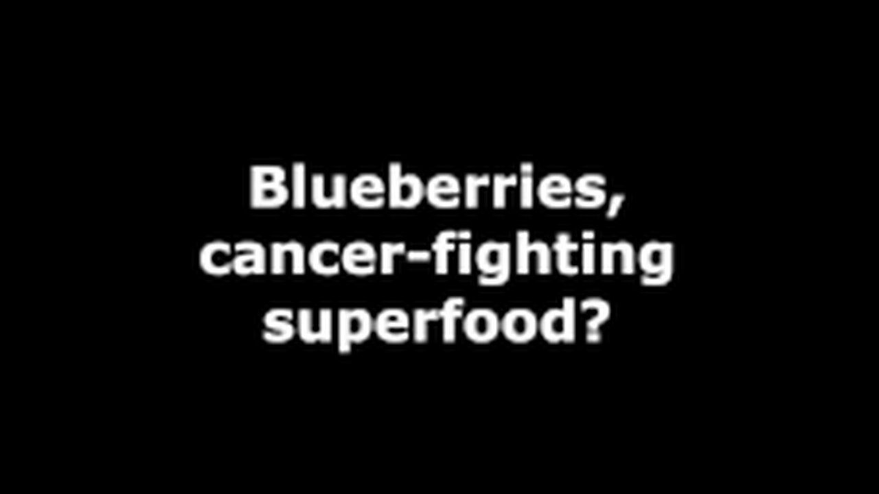 Blueberries - cancer-fighting super food